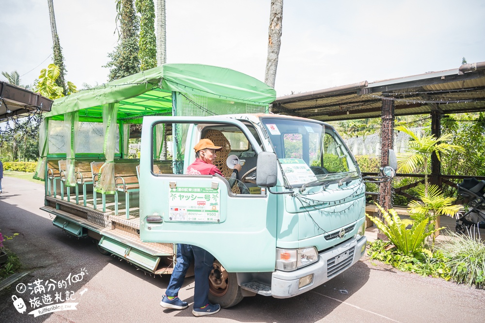 沖繩【東南植物樂園】日本第一椰樹街超震撼.遊園車體驗.餵水豚象龜和兔子趣味十足,被森林包圍的沖繩秘境!