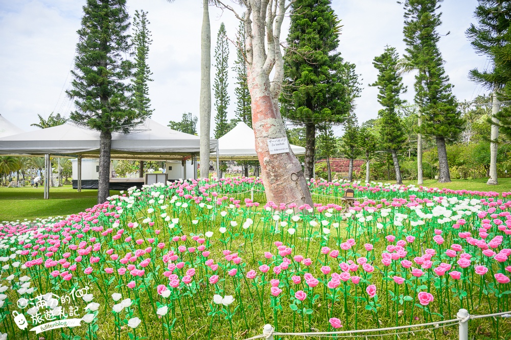 沖繩【東南植物樂園】日本第一椰樹街超震撼.遊園車體驗.餵水豚象龜和兔子趣味十足,被森林包圍的沖繩秘境!
