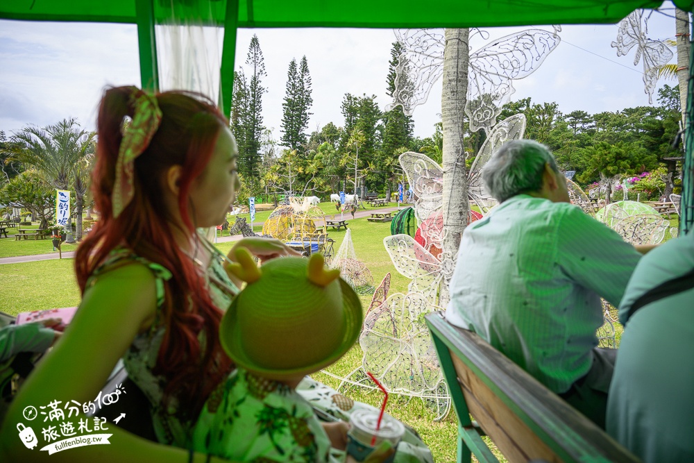 沖繩【東南植物樂園】日本第一椰樹街超震撼.遊園車體驗.餵水豚象龜和兔子趣味十足,被森林包圍的沖繩秘境!