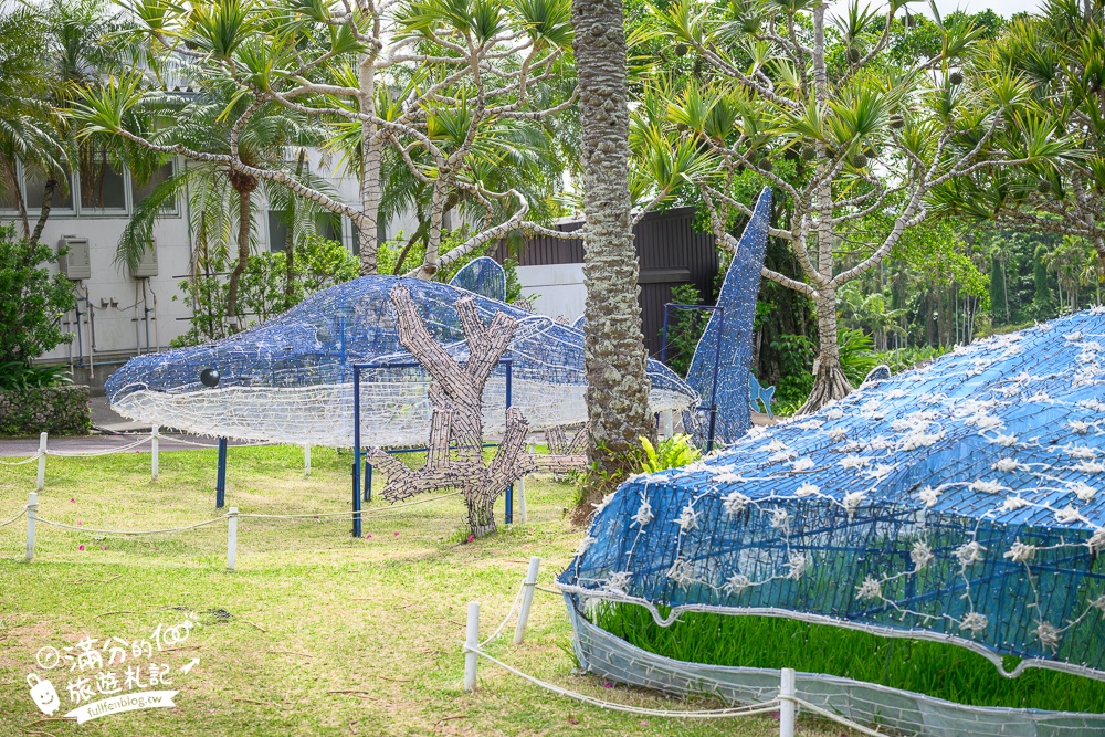 沖繩【東南植物樂園】日本第一椰樹街超震撼.遊園車體驗.餵水豚象龜和兔子趣味十足,被森林包圍的沖繩秘境!