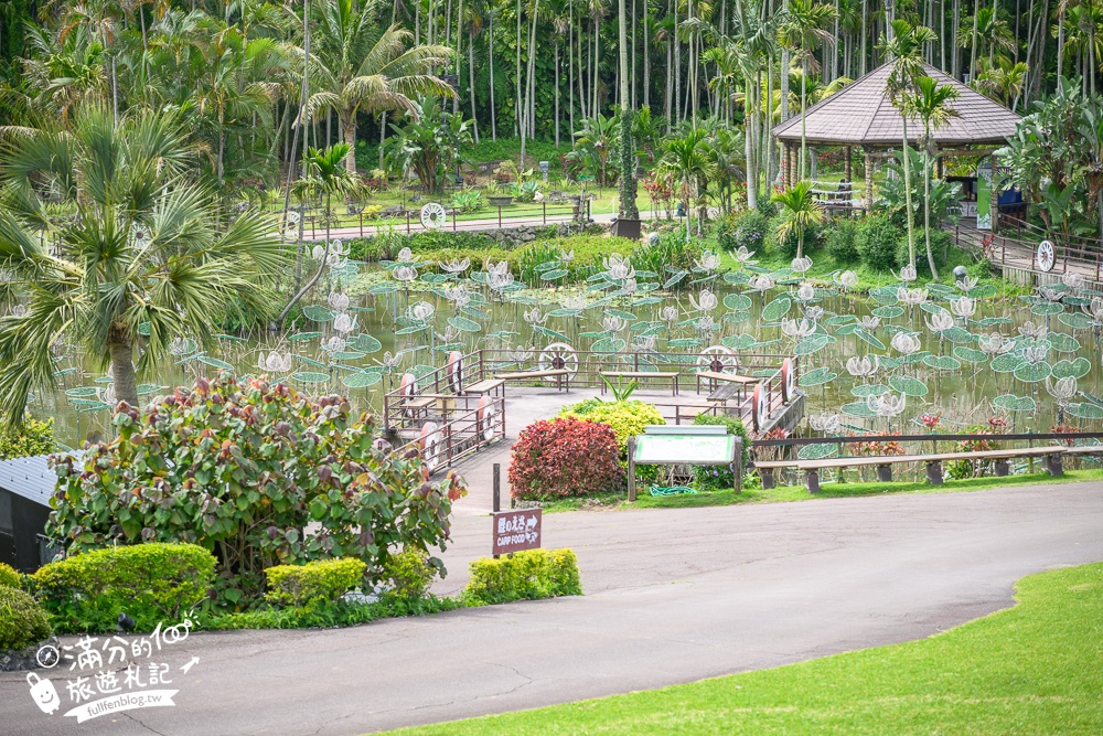 沖繩【東南植物樂園】日本第一椰樹街超震撼.遊園車體驗.餵水豚象龜和兔子趣味十足,被森林包圍的沖繩秘境!