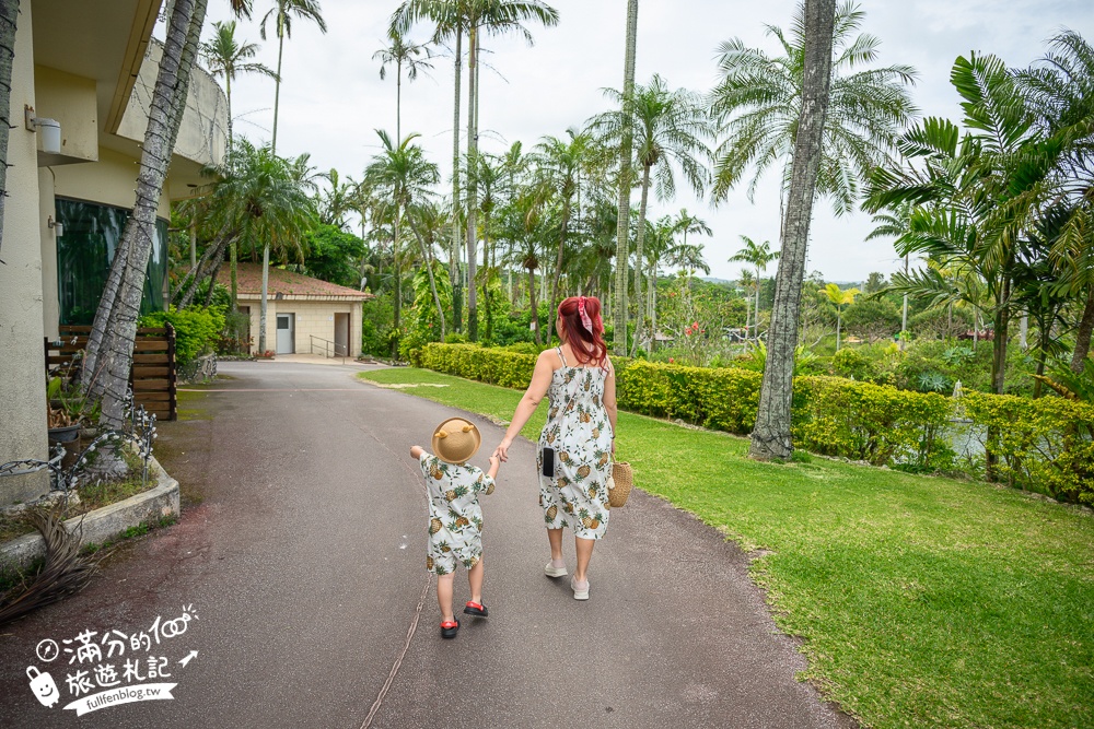 沖繩【東南植物樂園】日本第一椰樹街超震撼.遊園車體驗.餵水豚象龜和兔子趣味十足,被森林包圍的沖繩秘境!
