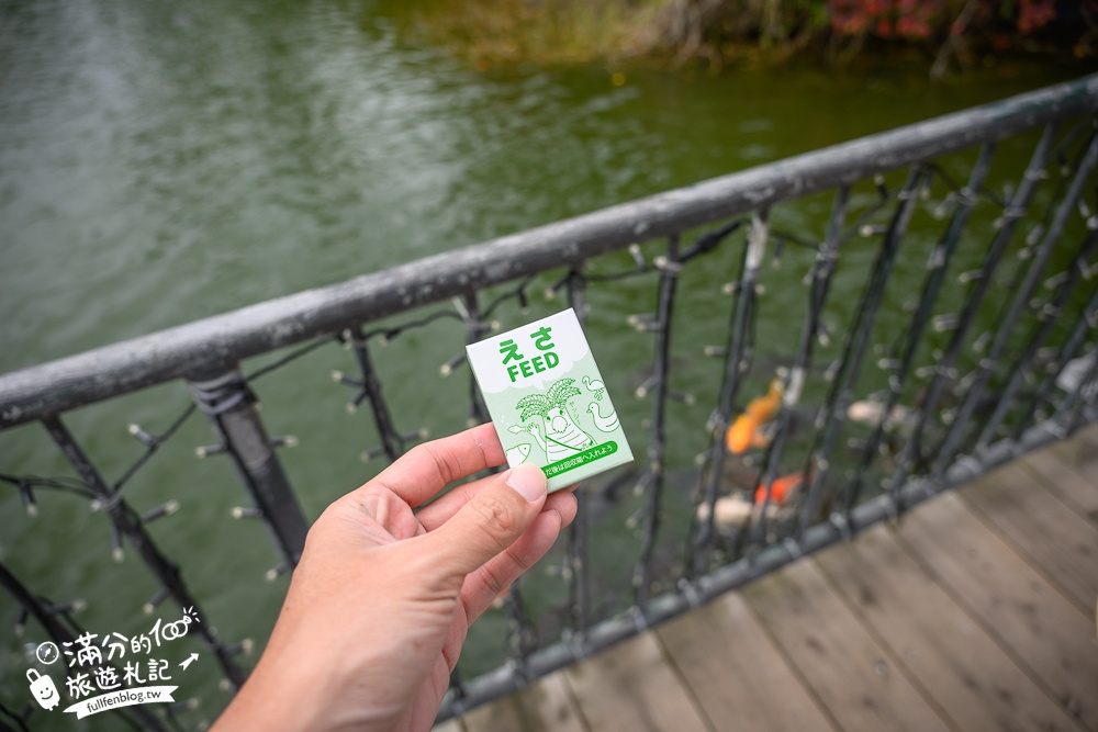 沖繩【東南植物樂園】日本第一椰樹街超震撼.遊園車體驗.餵水豚象龜和兔子趣味十足,被森林包圍的沖繩秘境!
