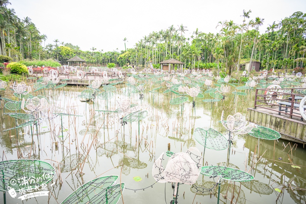沖繩【東南植物樂園】日本第一椰樹街超震撼.遊園車體驗.餵水豚象龜和兔子趣味十足,被森林包圍的沖繩秘境!