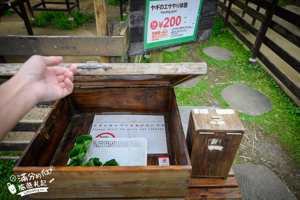 沖繩【東南植物樂園】日本第一椰樹街超震撼.遊園車體驗.餵水豚象龜和兔子趣味十足,被森林包圍的沖繩秘境!