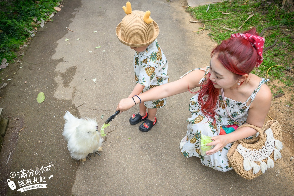 沖繩【東南植物樂園】日本第一椰樹街超震撼.遊園車體驗.餵水豚象龜和兔子趣味十足,被森林包圍的沖繩秘境!