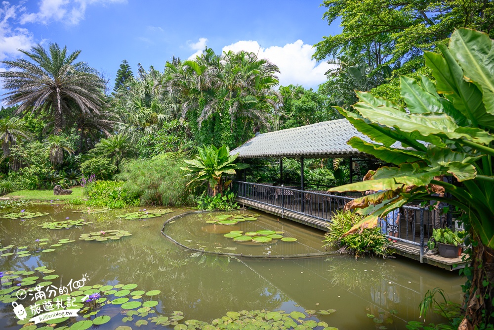 桃園【莫內的花園】觀音鄉蔬食料理庭院餐廳,蓮花田旁隱身名畫的世界,來賞蓮吃蓮逛花園!