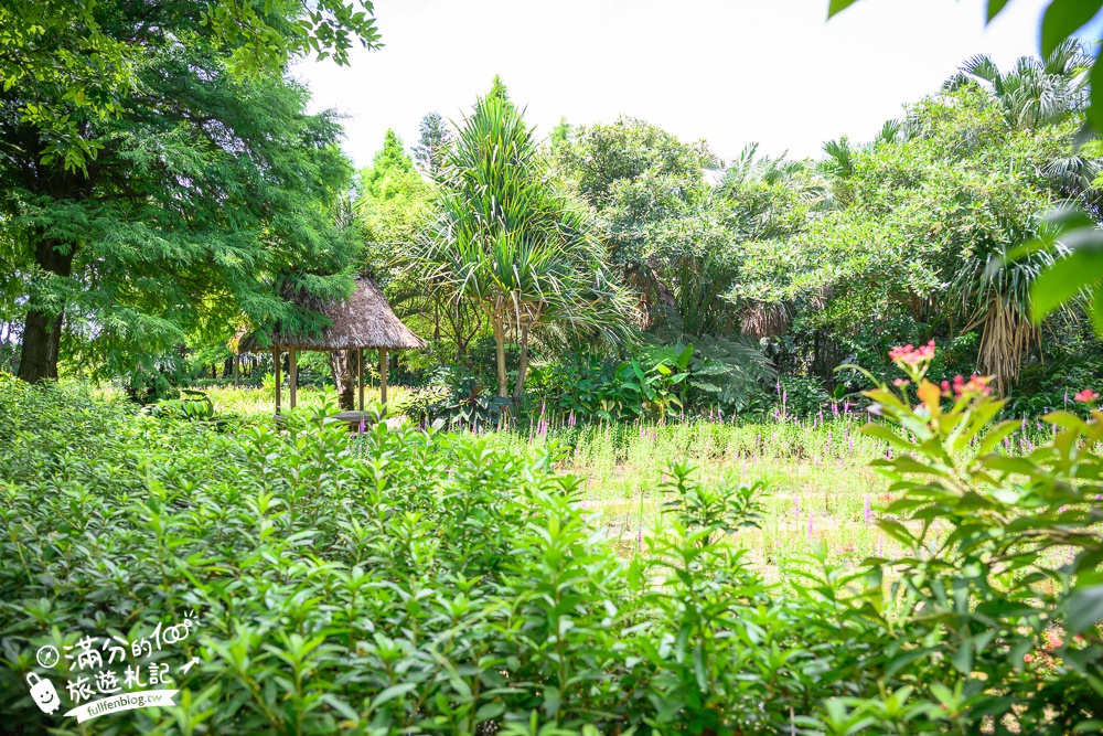 桃園【莫內的花園】觀音鄉蔬食料理庭院餐廳,蓮花田旁隱身名畫的世界,來賞蓮吃蓮逛花園!