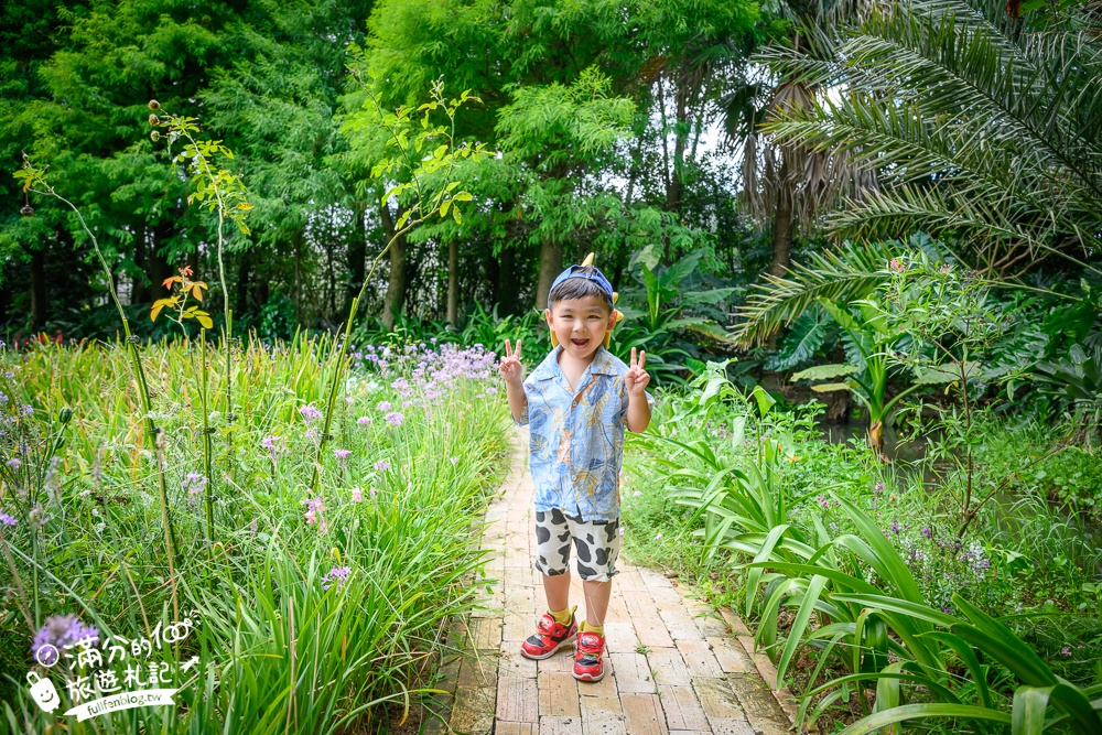 桃園【莫內的花園】觀音鄉蔬食料理庭院餐廳,蓮花田旁隱身名畫的世界,來賞蓮吃蓮逛花園!