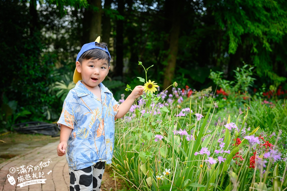 桃園【莫內的花園】觀音鄉蔬食料理庭院餐廳,蓮花田旁隱身名畫的世界,來賞蓮吃蓮逛花園!