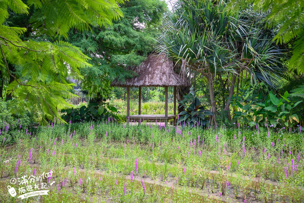 桃園【莫內的花園】觀音鄉蔬食料理庭院餐廳,蓮花田旁隱身名畫的世界,來賞蓮吃蓮逛花園!