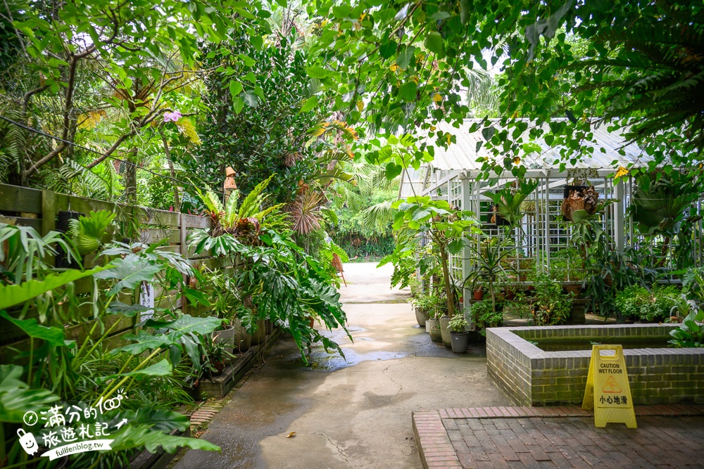 桃園【莫內的花園】觀音鄉蔬食料理庭院餐廳,蓮花田旁隱身名畫的世界,來賞蓮吃蓮逛花園!