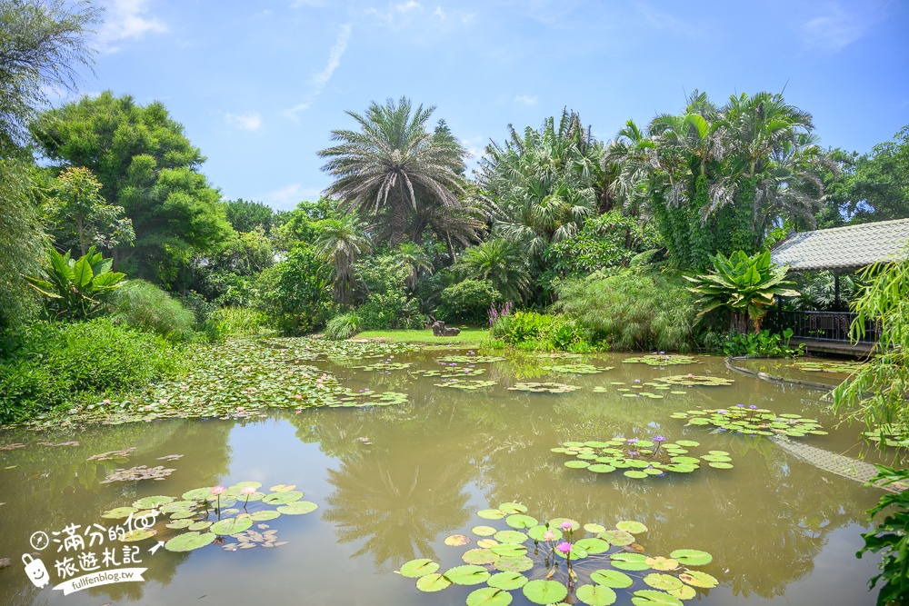 桃園【莫內的花園】觀音鄉蔬食料理庭院餐廳,蓮花田旁隱身名畫的世界,來賞蓮吃蓮逛花園!