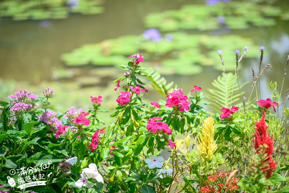 桃園【莫內的花園】觀音鄉蔬食料理庭院餐廳,蓮花田旁隱身名畫的世界,來賞蓮吃蓮逛花園!