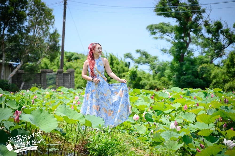 桃園【莫內的花園】觀音鄉蔬食料理庭院餐廳,蓮花田旁隱身名畫的世界,來賞蓮吃蓮逛花園!