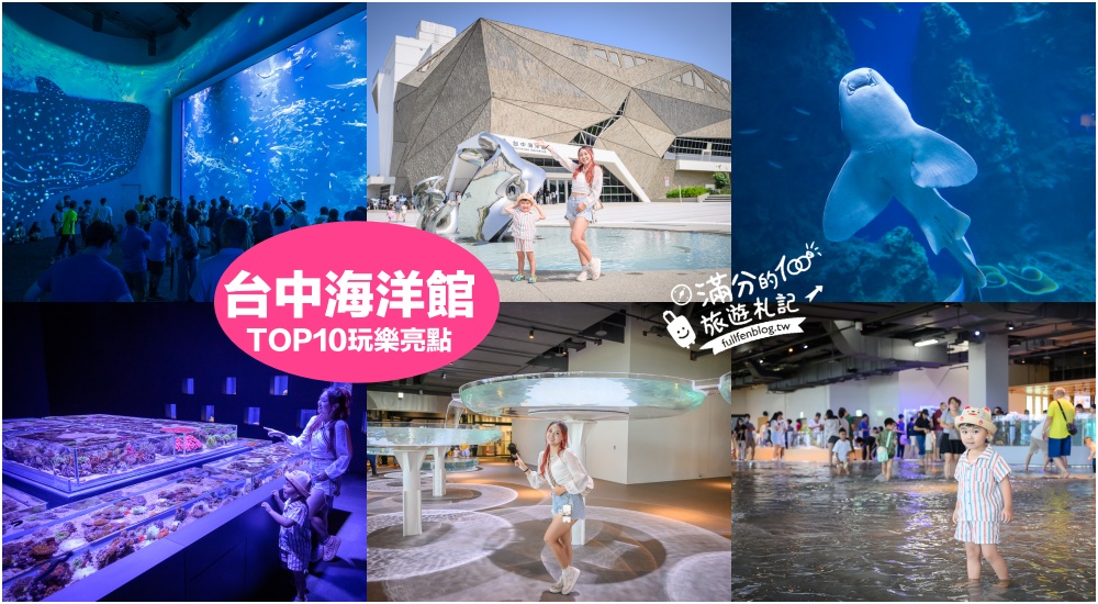 延伸閱讀：【台中海洋館】好玩嗎？TOP10個亮點帶你玩,台中海洋館沉浸式海洋體驗,最新玩樂攻略＆常見問題!