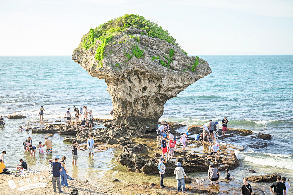 【2025小琉球景點懶人包】TOP20小琉球景點推薦,小琉球排隊美食.住宿.島上交通,浮潛看海龜.餵梅花鹿.潮間帶精彩玩! 【2025小琉球景點懶人包】TOP20小琉球景點推薦,小琉球排隊美食.住宿.島上交通,浮潛看海龜.餵梅花鹿.潮間帶精彩玩!