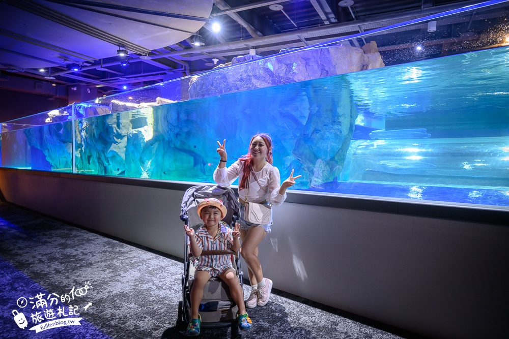 【台中海洋館】好玩嗎？TOP10個亮點帶你玩,台中海洋館沉浸式海洋體驗,最新玩樂攻略＆常見問題!