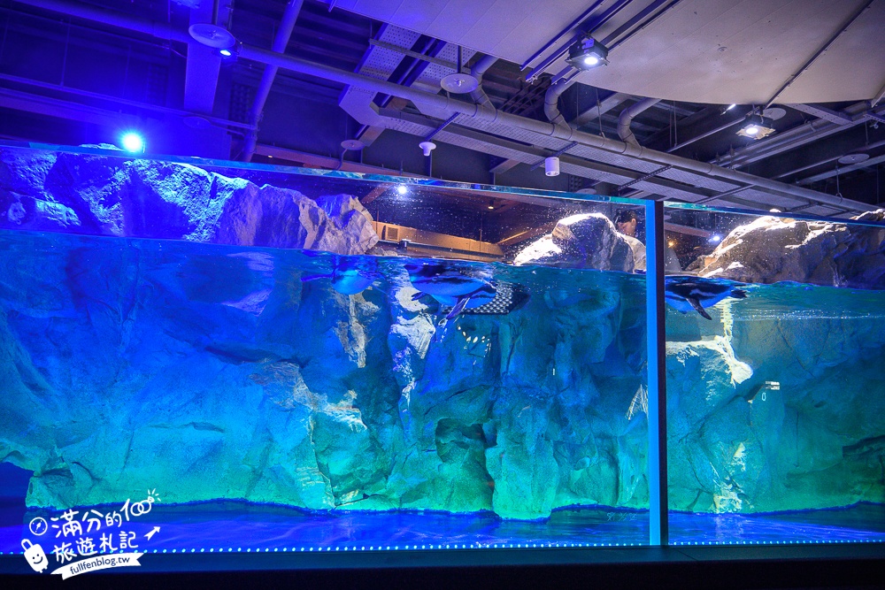 【台中海洋館】好玩嗎？TOP10個亮點帶你玩,台中海洋館沉浸式海洋體驗,最新玩樂攻略＆常見問題!