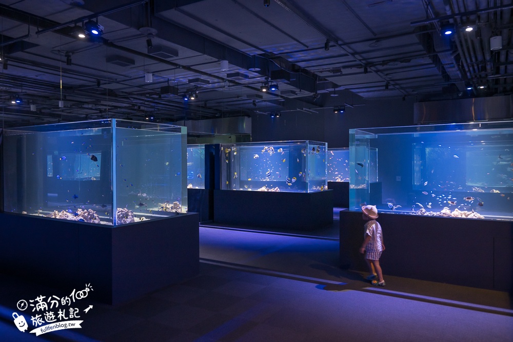 【台中海洋館】好玩嗎？TOP10個亮點帶你玩,台中海洋館沉浸式海洋體驗,最新玩樂攻略＆常見問題!