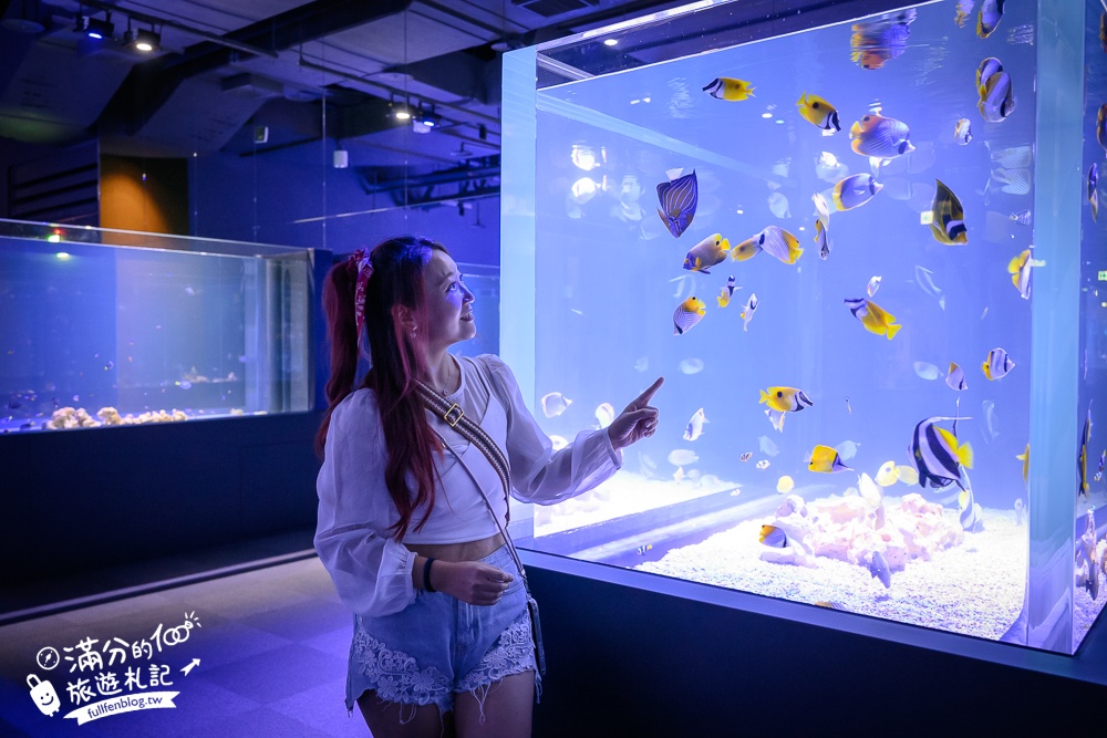 【台中海洋館】好玩嗎？TOP10個亮點帶你玩,台中海洋館沉浸式海洋體驗,最新玩樂攻略＆常見問題!