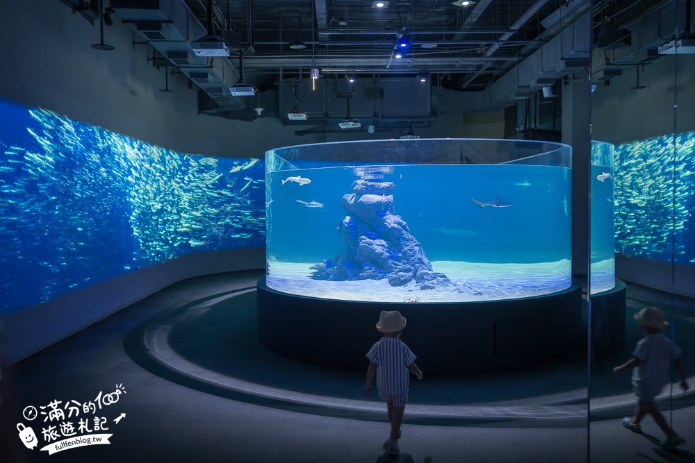【台中海洋館】好玩嗎？TOP10個亮點帶你玩,台中海洋館沉浸式海洋體驗,最新玩樂攻略＆常見問題!