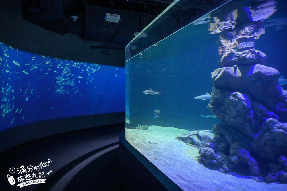 【台中海洋館】好玩嗎？TOP10個亮點帶你玩,台中海洋館沉浸式海洋體驗,最新玩樂攻略＆常見問題!