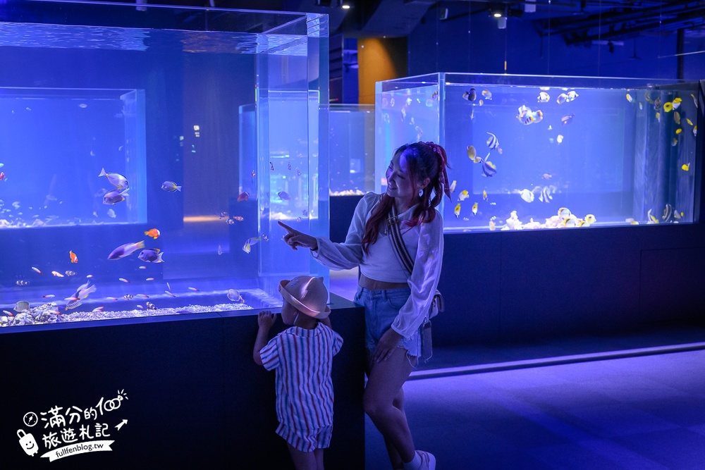 【台中海洋館】好玩嗎？TOP10個亮點帶你玩,台中海洋館沉浸式海洋體驗,最新玩樂攻略＆常見問題!