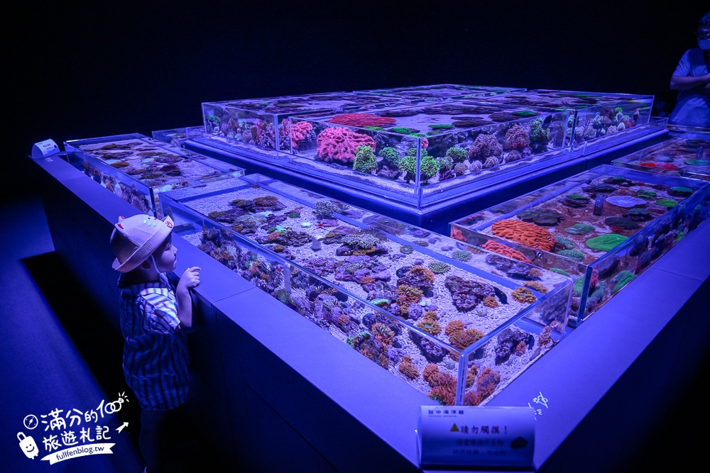 【台中海洋館】好玩嗎？TOP10個亮點帶你玩,台中海洋館沉浸式海洋體驗,最新玩樂攻略＆常見問題!