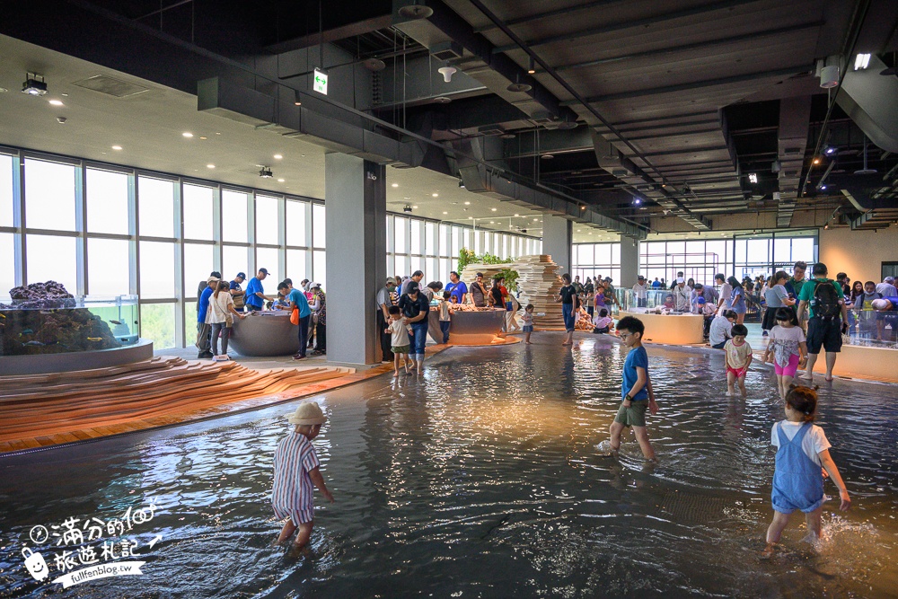 【台中海洋館】好玩嗎？TOP10個亮點帶你玩,台中海洋館沉浸式海洋體驗,最新玩樂攻略＆常見問題!