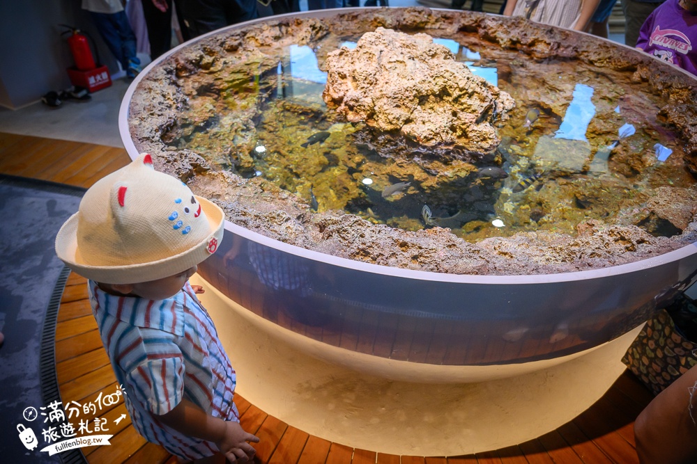 【台中海洋館】好玩嗎？TOP10個亮點帶你玩,台中海洋館沉浸式海洋體驗,最新玩樂攻略＆常見問題!