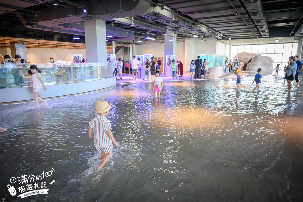 【台中海洋館】好玩嗎？TOP10個亮點帶你玩,台中海洋館沉浸式海洋體驗,最新玩樂攻略＆常見問題!