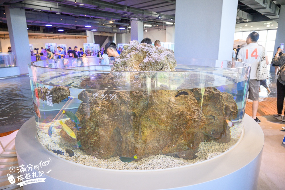 【台中海洋館】好玩嗎？TOP10個亮點帶你玩,台中海洋館沉浸式海洋體驗,最新玩樂攻略＆常見問題!