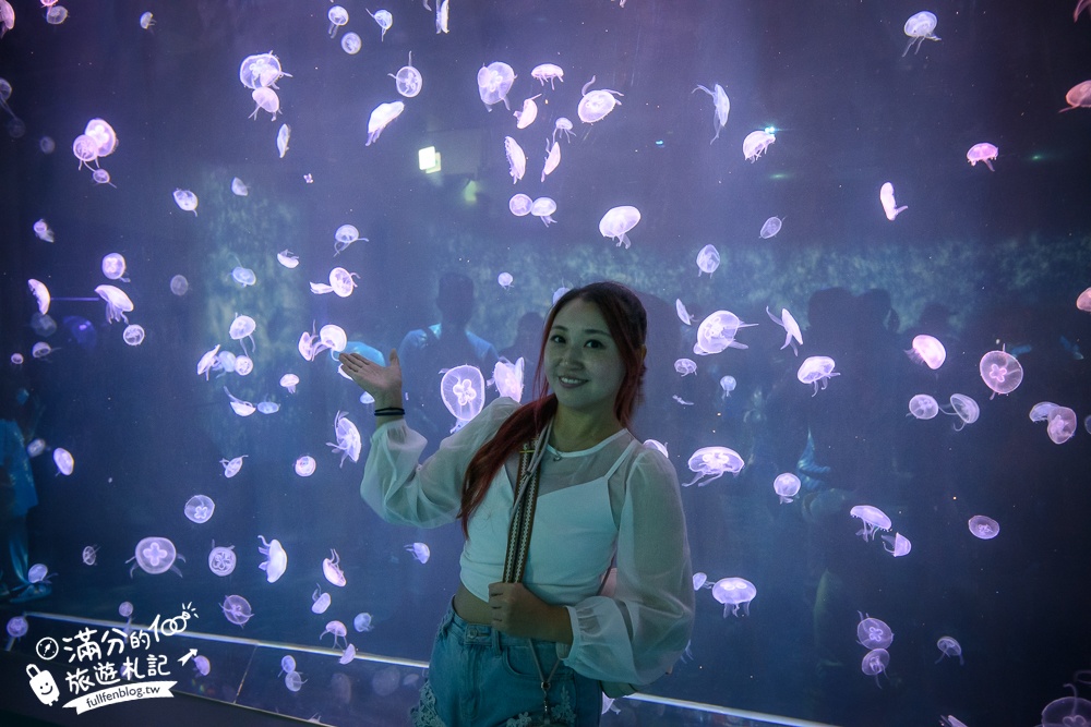 【台中海洋館】好玩嗎？TOP10個亮點帶你玩,台中海洋館沉浸式海洋體驗,最新玩樂攻略＆常見問題!