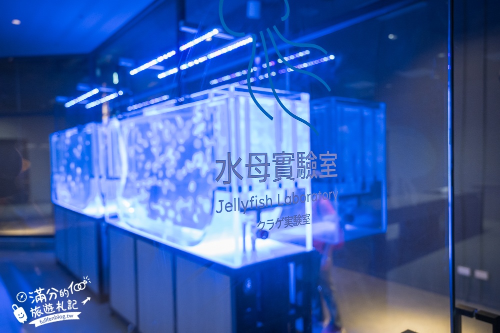 【台中海洋館】好玩嗎？TOP10個亮點帶你玩,台中海洋館沉浸式海洋體驗,最新玩樂攻略＆常見問題!