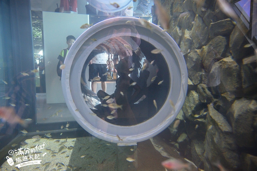 【台中海洋館】好玩嗎？TOP10個亮點帶你玩,台中海洋館沉浸式海洋體驗,最新玩樂攻略＆常見問題!