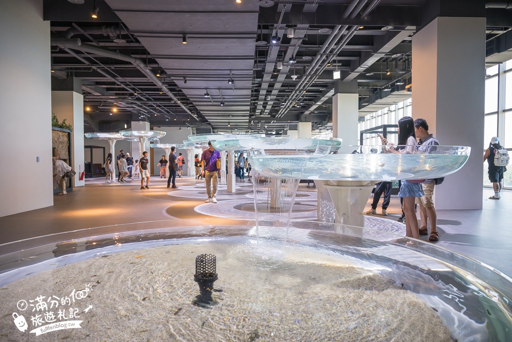 【台中海洋館】好玩嗎？TOP10個亮點帶你玩,台中海洋館沉浸式海洋體驗,最新玩樂攻略＆常見問題!