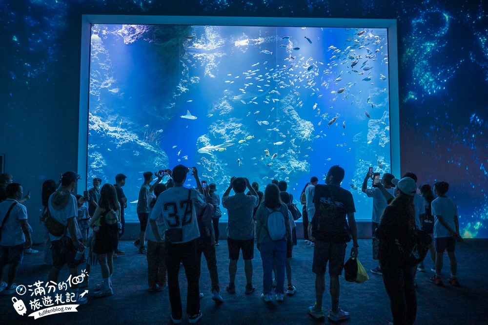 【台中海洋館】好玩嗎？TOP10個亮點帶你玩,台中海洋館沉浸式海洋體驗,最新玩樂攻略＆常見問題!