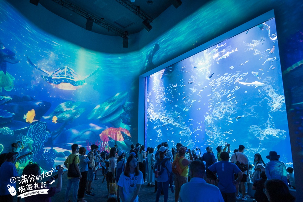 【台中海洋館】好玩嗎？TOP10個亮點帶你玩,台中海洋館沉浸式海洋體驗,最新玩樂攻略＆常見問題!