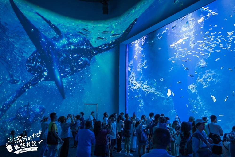 【台中海洋館】好玩嗎？TOP10個亮點帶你玩,台中海洋館沉浸式海洋體驗,最新玩樂攻略＆常見問題!