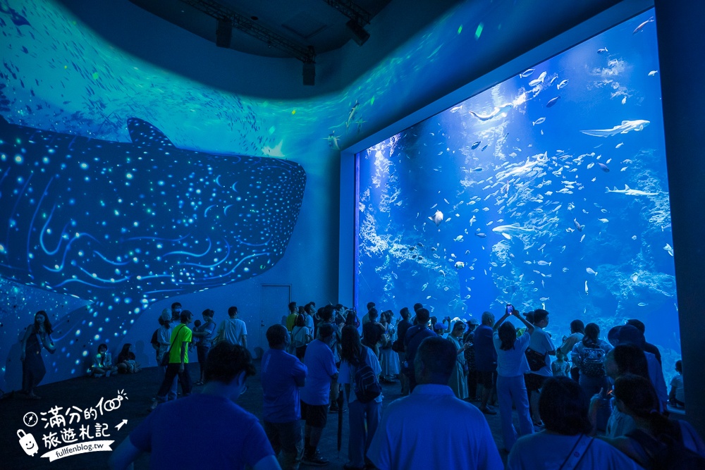 【台中海洋館】好玩嗎？TOP10個亮點帶你玩,台中海洋館沉浸式海洋體驗,最新玩樂攻略＆常見問題!
