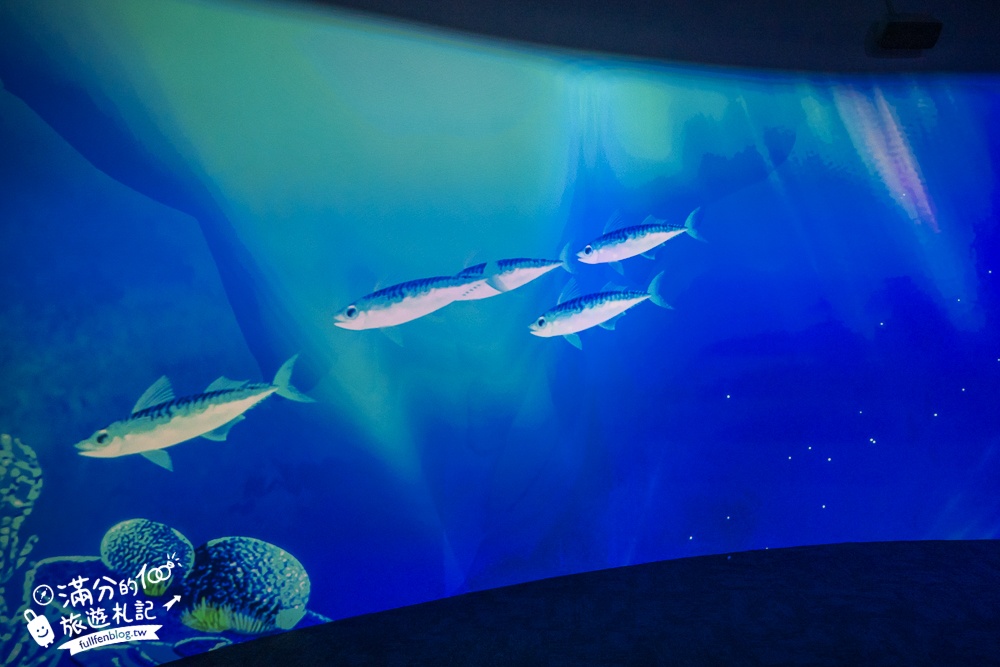 【台中海洋館】好玩嗎？TOP10個亮點帶你玩,台中海洋館沉浸式海洋體驗,最新玩樂攻略＆常見問題!