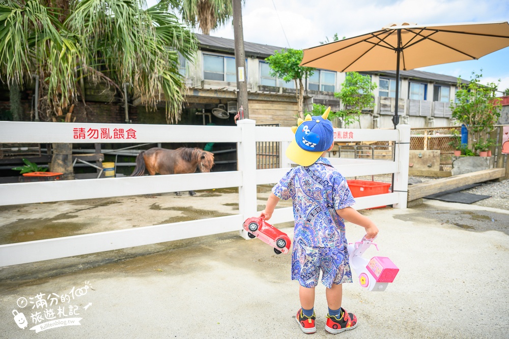 萬里【Time奶奶·樹屋咖啡樂園】低消只要100元,在精靈樹屋裡下午茶.還能和水豚.侏儒山羊.陸龜一起玩!