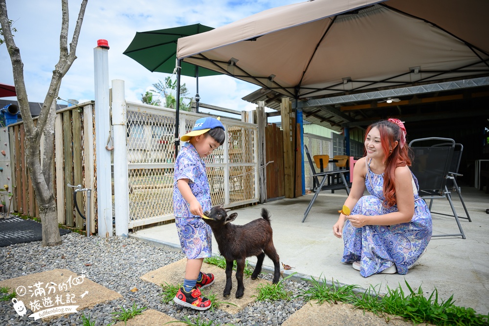 萬里【Time奶奶·樹屋咖啡樂園】低消只要100元,在精靈樹屋裡下午茶.還能和水豚.侏儒山羊.陸龜一起玩!