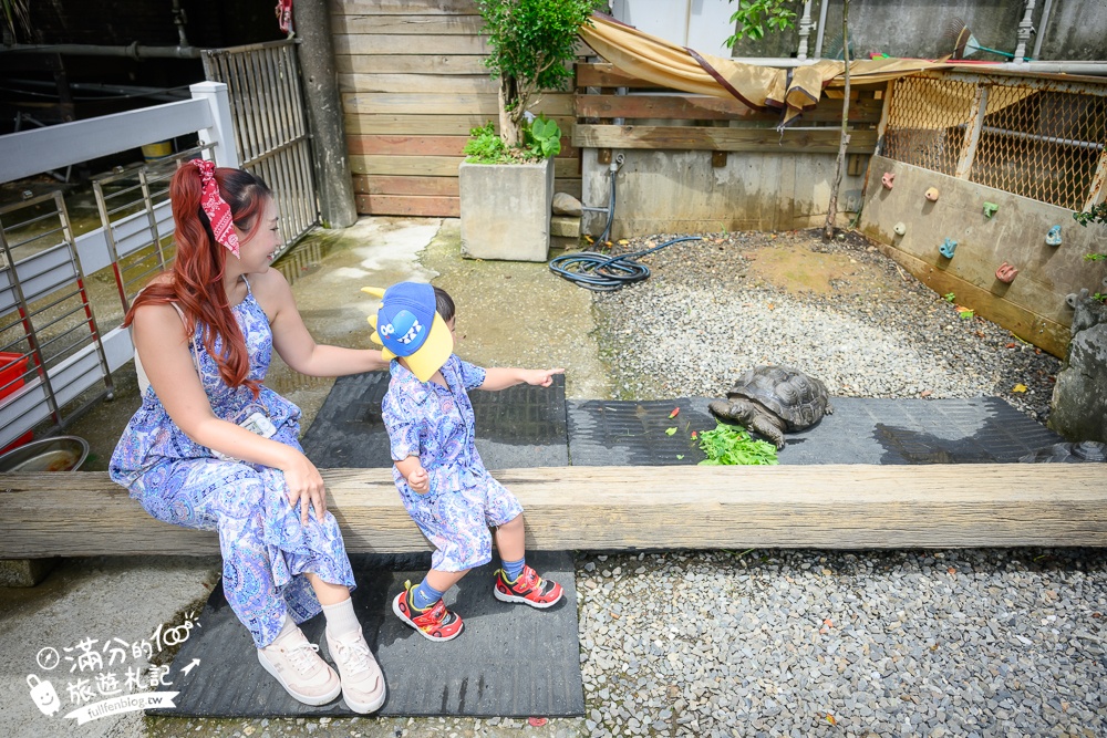 萬里【Time奶奶·樹屋咖啡樂園】低消只要100元,在精靈樹屋裡下午茶.還能和水豚.侏儒山羊.陸龜一起玩!