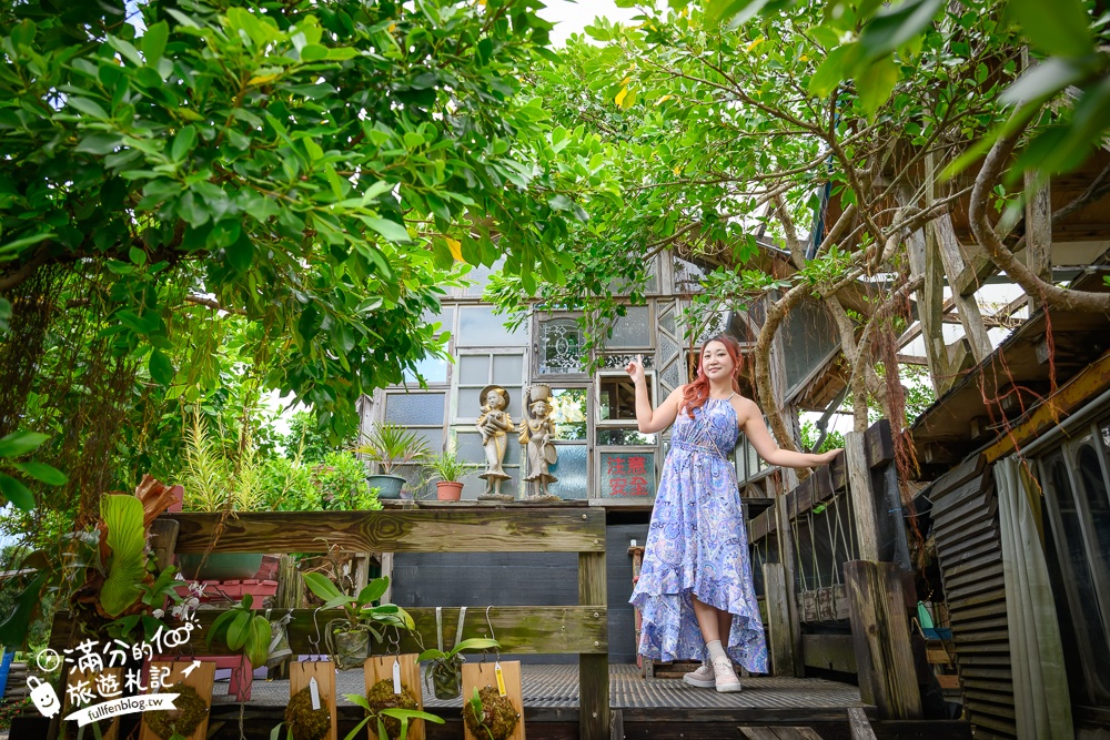 萬里【Time奶奶·樹屋咖啡樂園】低消只要100元,在精靈樹屋裡下午茶.還能和水豚.侏儒山羊.陸龜一起玩!