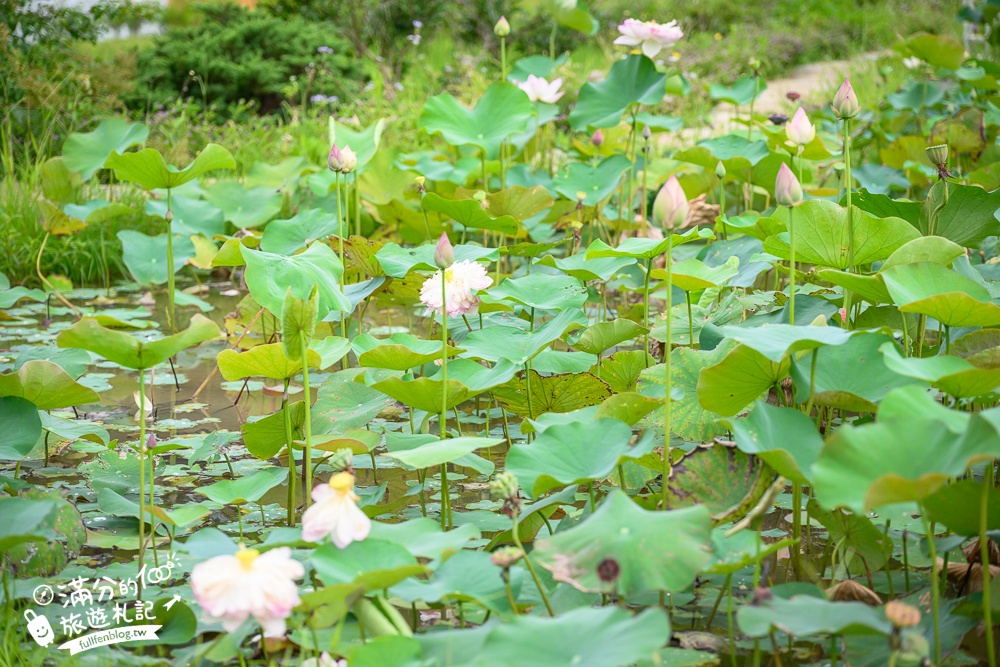 萬里【亮山川Lands & Stream Resort Park】野柳最新隱藏版玩水景點.全台唯一鋼筋彩虹水上步道超吸睛!