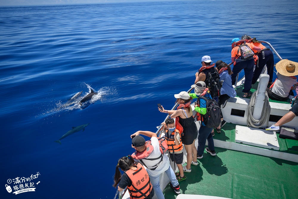 【2025花蓮市區景點一日遊】TOP10花蓮市區景點推薦,最新將軍村.看野生海豚.吃美食.逛夜市.花蓮市區親子海景飯店推薦!