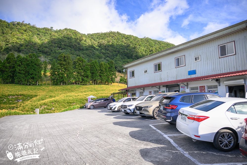 【2025赤柯山小瑞士農場】赤柯山金針花海最新花況,必吃金針花冰&金針氣泡飲,赤柯山賞花玩樂攻略!