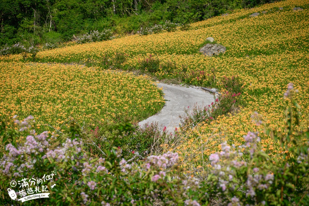 花蓮【赤科山林家園休閒農場】赤柯山免門票金針花海.超遼闊金針花田,地景藝術豐富好拍!